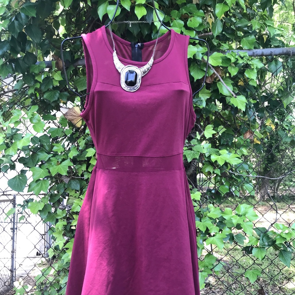 Express Mid Mesh Panel Skater Dress